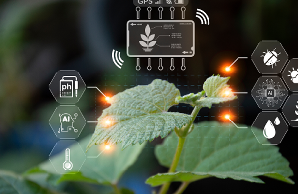 Visualization of CarbonLab's platform in action